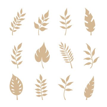 Set leaf silhouette isolated vector on white background 