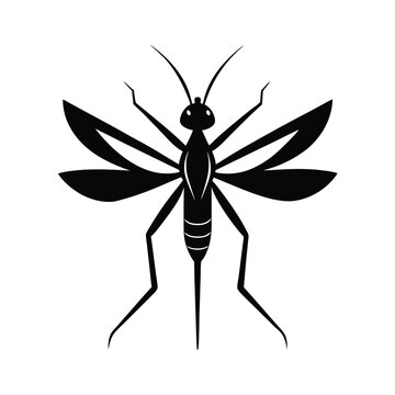 recommend clip art: Mosquito Insect Silhouette in Black and White