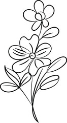 Simple Line Drawing of Delicate Flowers and Leaves