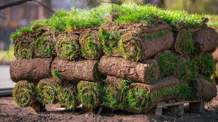 Fototapeta premium Rolled sod grass stacked on pallet for landscaping