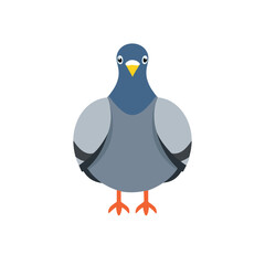 vector illustration of a bird