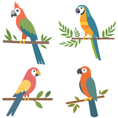 set of parrots