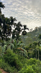 Tropical hillside landscape with palm trees, dense greenery, and scattered mountain houses.