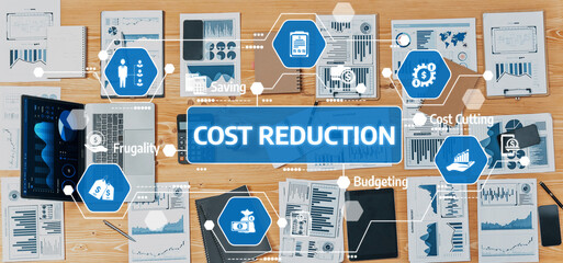 Explore effective cost reduction strategies with this image showcasing detailed visual data analysis and planning tools. Perfect for finance and business professionals. Amity