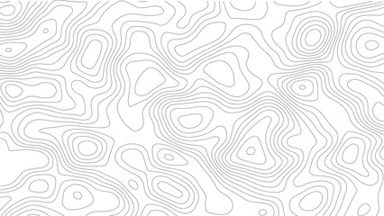Obraz premium Topographic Contour Map Background. Abstract Vector Wave Grid With Mountain Relief. This Title Retains The Essential Keywords (Topographic, Vector, Contour, Map, Wave, Mountain) 