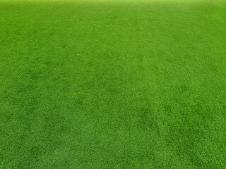 Green indoor artificial grass field for sports or playground. Top view texture background concept.