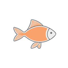 fish on a white background