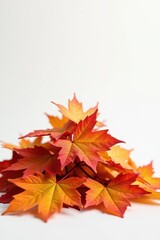 Crisp autumn leaves piled high, shallow focus, white backdrop , orange, crisp, vibrant