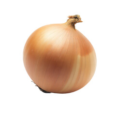 A close-up shot of a single, golden onion, a common ingredient in many dishes. This image highlights the texture and form of the onion, showcasing its natural beauty.