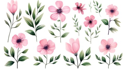 High-quality Set of Pink Flowers and Dark Green Leaves for Design Projects