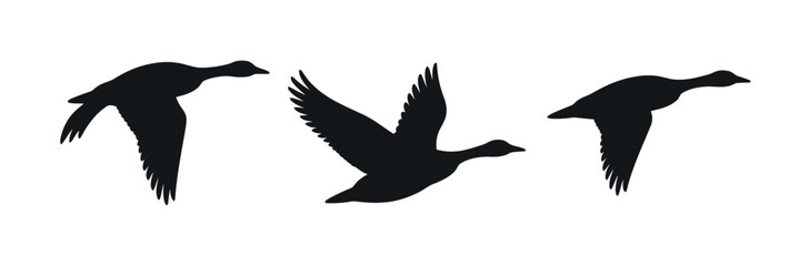 Three Goose Silhouettes in Flight and Landing Positions