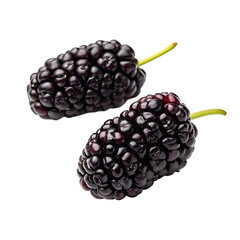 Close-up of two fresh black mulberry fruits Transparent background