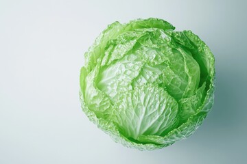 Fresh green cabbage head, vibrant and crisp