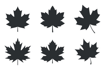 Six Variations of Simple Black Maple Leaf Silhouettes on White Background