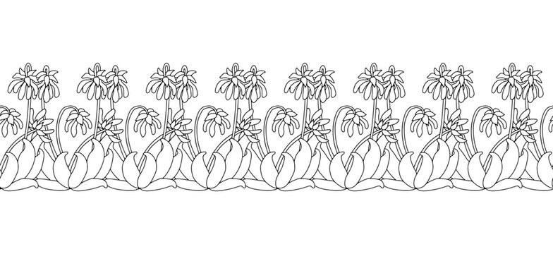 Stripe pattern with black and white line art canary islands flowers Parror Beaks. Floral seamless border with monochrome hand drawn millefleur style botanicals. Vector illustration