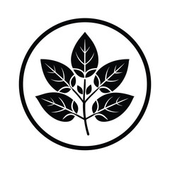 Elegant black and white leaf branch design encased in a circle representing nature and simplicity