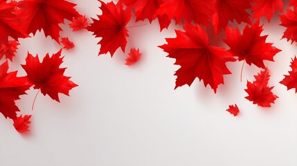A white background with red leaves scattered across it. The leaves are falling from a tree