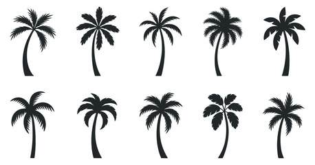 Collection of Ten Diverse Black Silhouette Palm Trees Isolated on White Background