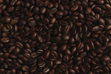 Fototapeta premium A rich tapestry of dark roasted coffee beans.
