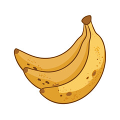Bananas: The Delicious and Nutritious Fruit
