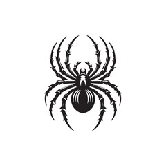 Spider  Vector (1).eps