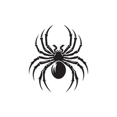 Spider  Vector (2).eps
