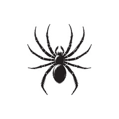 Spider  Vector (3).eps