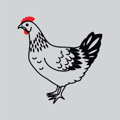 Stylized Chicken Drawing