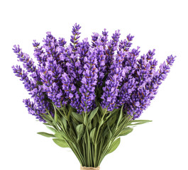 Fototapeta premium Lavender bouquet display floral shop bright environment isolated on transparent background