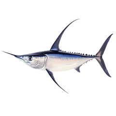 Fototapeta premium Swordfish isolated on transparent background .