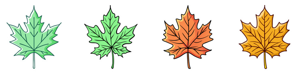 Colorful cartoon depiction of Maple leaves demonstrating progression of Autumnal colors