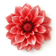 Vibrant coral dahlia in a detailed digital illustration.