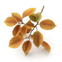 Obraz premium Autumnal branch with vibrant fall foliage.