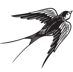 bird vintage hand drawing, engraving style