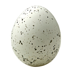 An Egg On Clear Png Background