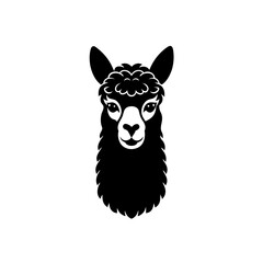 alpaca head on white background  