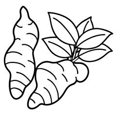 vector illustration of a leaf