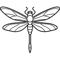 dragonfly vector illustration