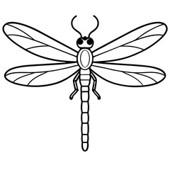 dragonfly vector illustration