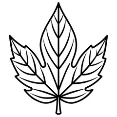 black and white leaf