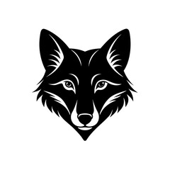 Fototapeta premium coyote head on white background 