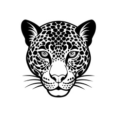 leopard head on white background  .svg
