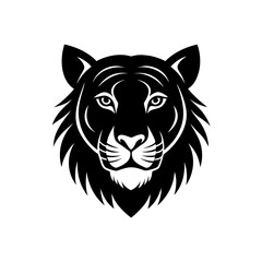 liger head on white background