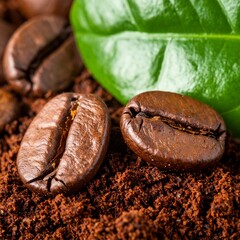 coffee beans close up