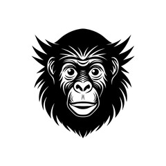 orangutan head on white background  