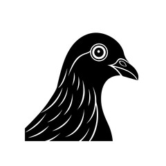 pigeon head on white background  .svg