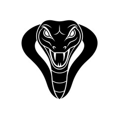 snake head on white background  