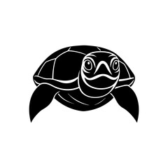 turtle head on white background  