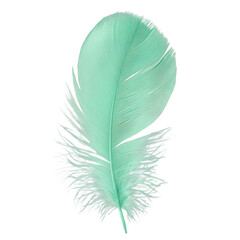 Fototapeta premium Soft Mint Green Feather Isolated on White 