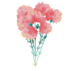 カーネーション